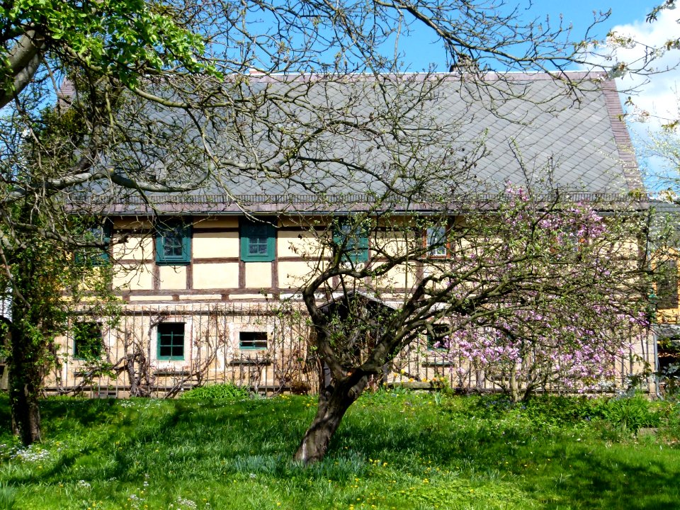 Prof-Werner-Straße 14 Graupa Pirna 2