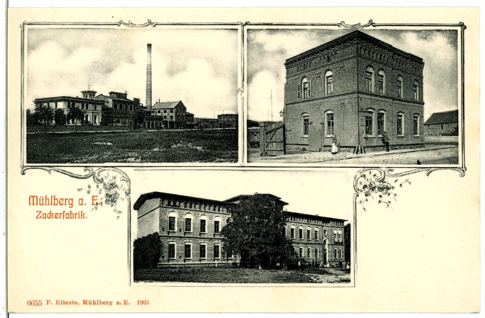 06655-Mühlberg-1905-Zuckerfabrik-Brück & Sohn Kunstverlag