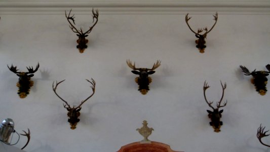 Schloß Moritzburg 35