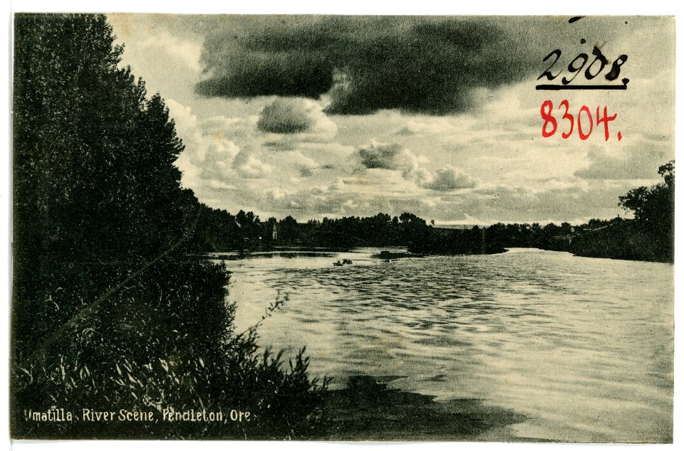 08304-Pendleton, Ore.-1906-Umatilla River Scene, Pendleton-Brück & Sohn Kunstverlag