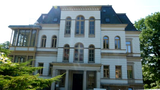 Wachwitzer Weinberg 1 Wachwitz 3