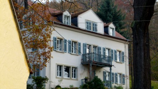Wachwitzgrund 54 Wachwitz 2
