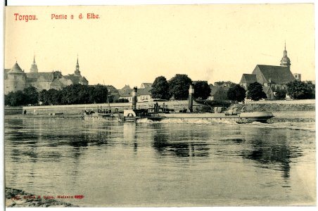 07765-Torgau-1906-Elbe mit Schlepper-Brück & Sohn Kunstverlag