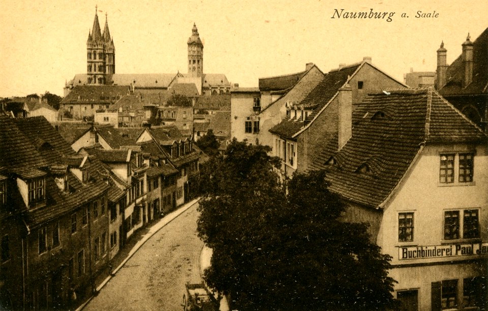 20961-Naumburg-1918-Kanalstraße mit Dom-Brück & Sohn Kunstverlag
