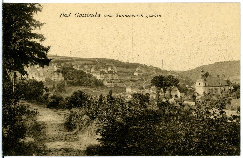 18402-Bad Gottleuba-1914-Blick auf Bad Gottleuba vom Tannenbusch-Brück & Sohn Kunstverlag