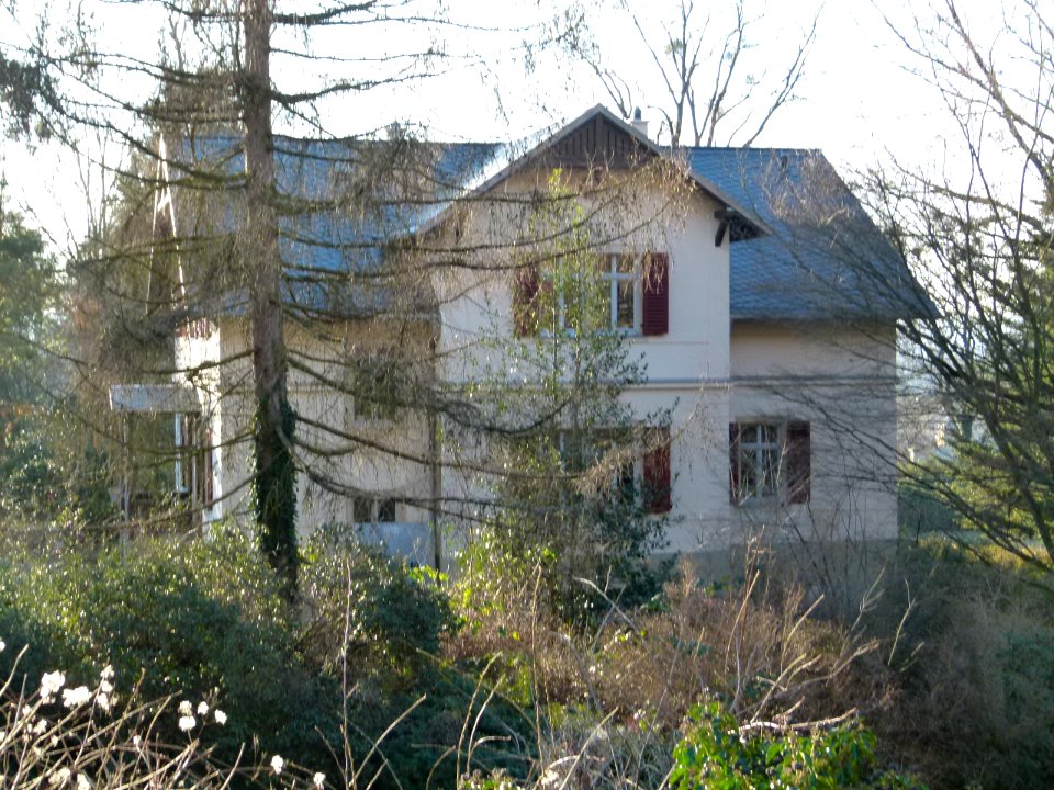 Wachwitzer Weinberg 8 Wachwitz