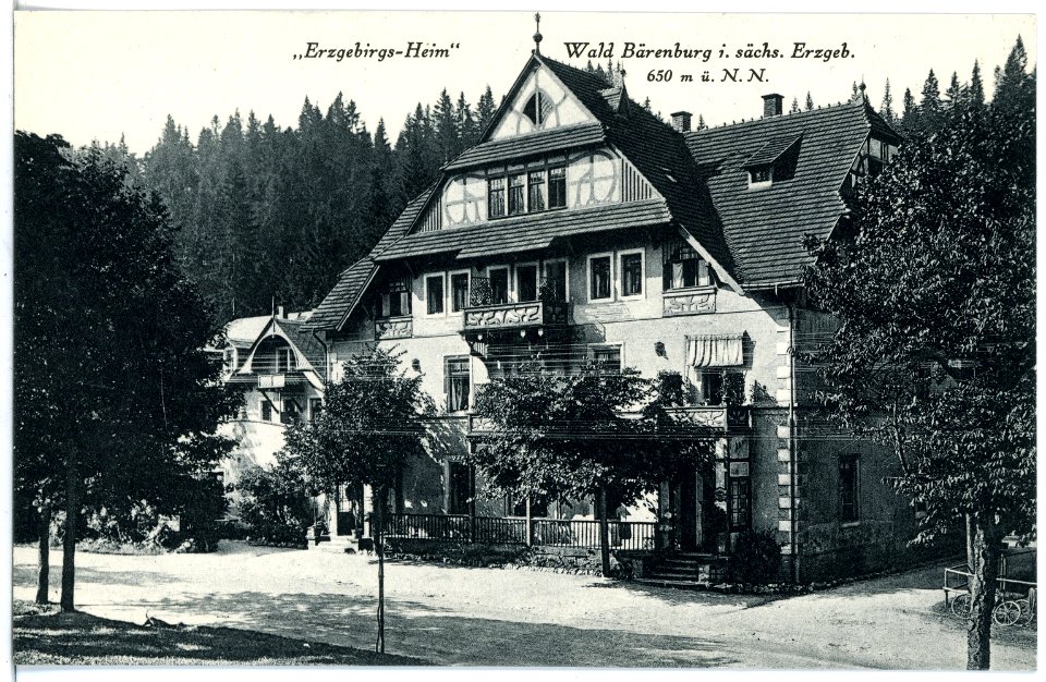 21285-Bärenburg-1919-Wald-Bärenburg, "Erzgebirgs-Heim"-Brück & Sohn Kunstverlag