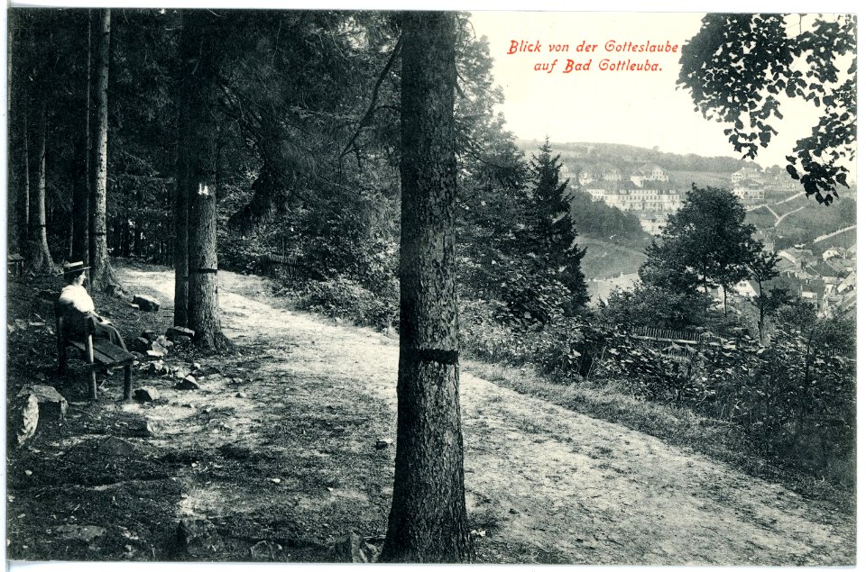 18393-Bad Gottleuba-1914-Blick auf Bad Gottleuba von der Gotteslaube-Brück & Sohn Kunstverlag