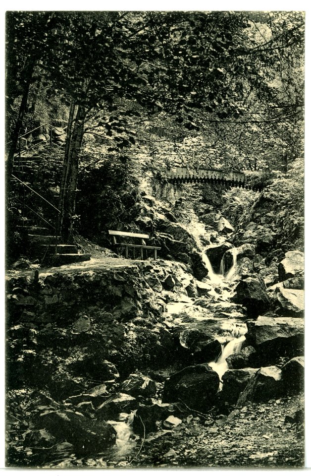 09778-Bad Harzburg-1908-Riesenbachfälle-Brück & Sohn Kunstverlag