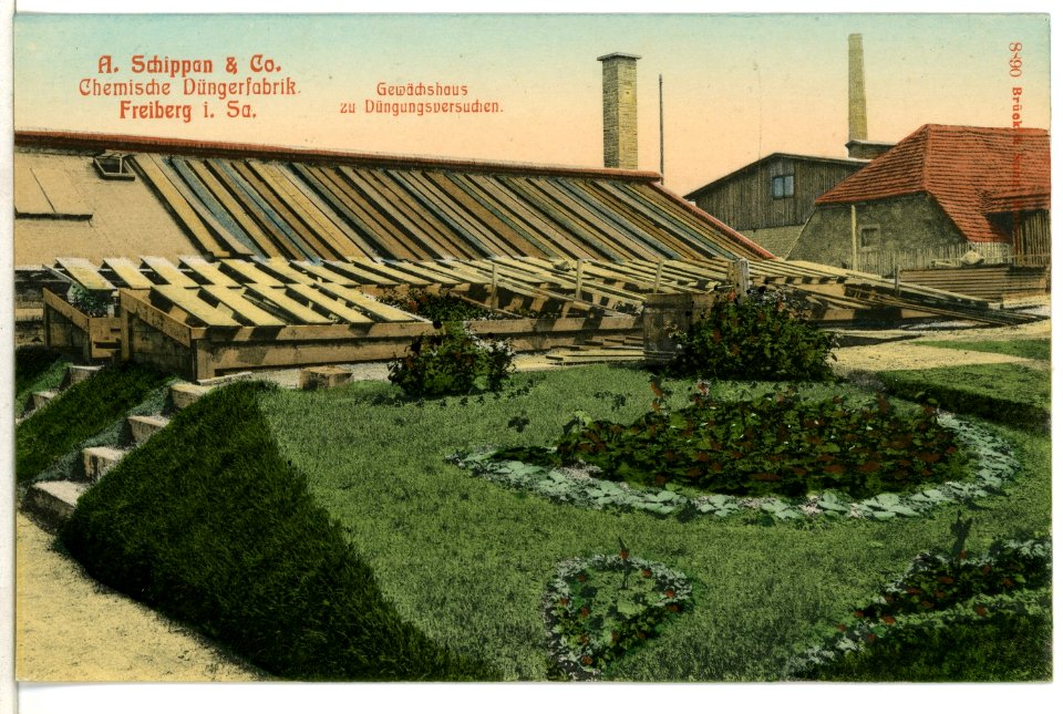 08890-Freiberg-1907-Düngerfabrik Schippan Gewächshaus-Brück & Sohn Kunstverlag