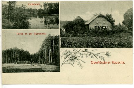 08754-Rauscha-1907-Oberförsterei-Brück & Sohn Kunstverlag