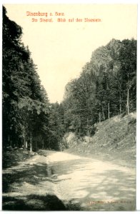 09147-Ilsenburg-1907-Im Ilsetal - Blick auf den Ilsestein-Brück & Sohn Kunstverlag