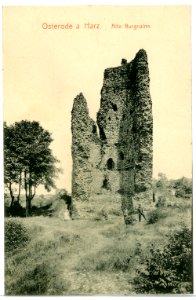 09255-Osterode-Harz-1907-Alte Burgruine-Brück & Sohn Kunstverlag photo