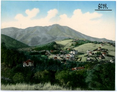 08088-Mill Valley-1906-Mt. Tamalpais from Mill Valley-Brück & Sohn Kunstverlag