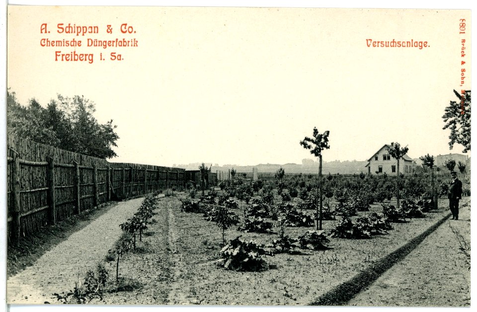 08891-Freiberg-1907-Düngerfabrik Schippan Versuchsanlage-Brück & Sohn Kunstverlag
