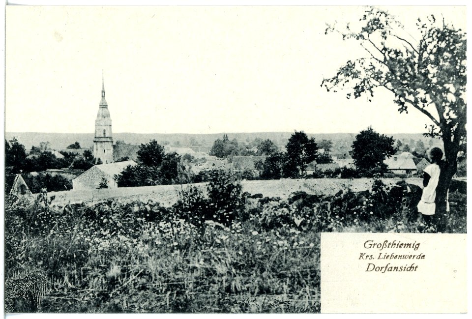 20249-Großthiemig-1916-Dorfansicht-Brück & Sohn Kunstverlag