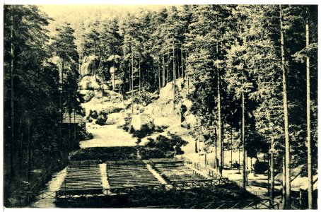 21305-Oybin-1919-Waldtheater-Brück & Sohn Kunstverlag