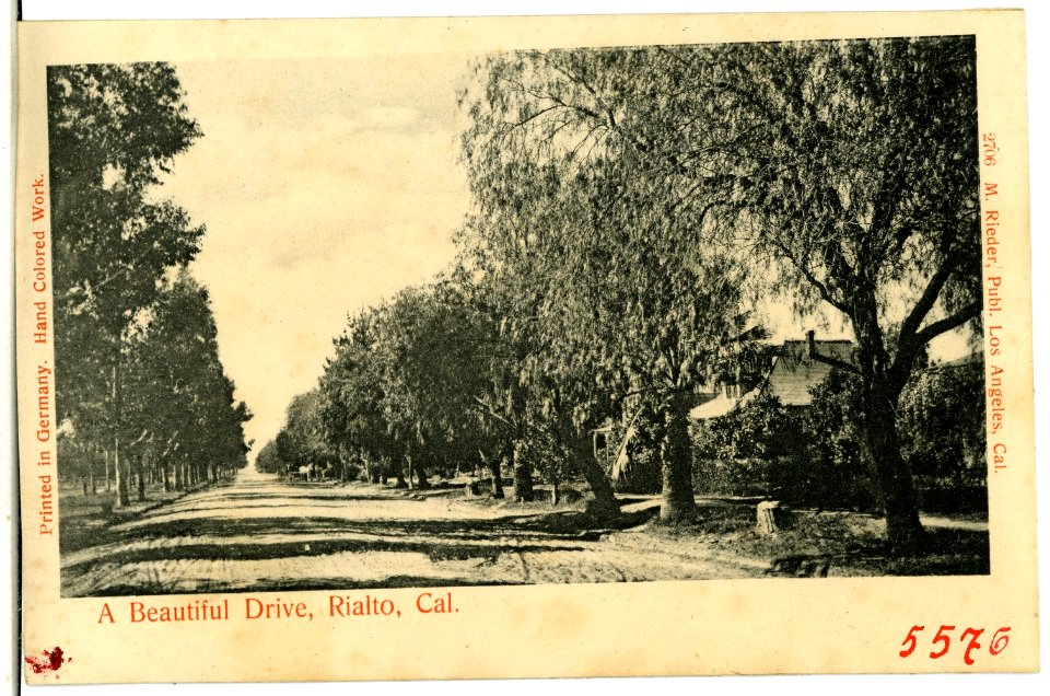 05576-Rialto-1904-A Beautiful Drive, Rialto, California-Brück & Sohn Kunstverlag