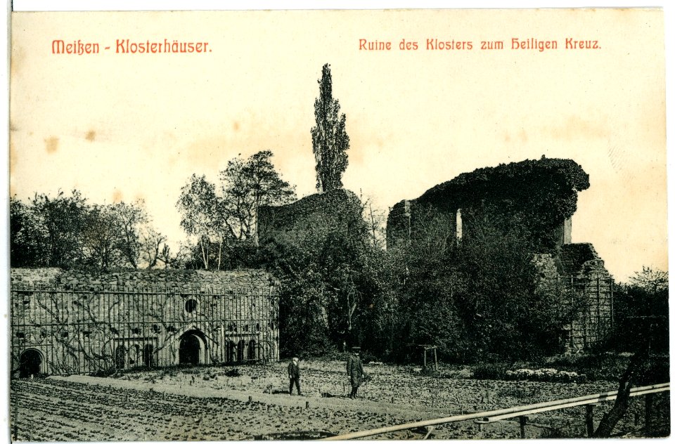 06237-Meißen-1905-Klosterhäuser - Ruine des Klosters zum Heiligen Kreuz-Brück & Sohn Kunstverlag