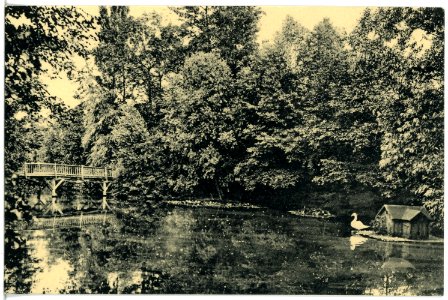 21237-Jena-1919-Rasenmühleninsel-Brück & Sohn Kunstverlag
