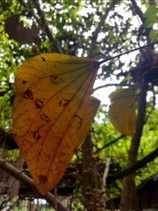 Ratchaburi candle house - 2017-04-16 (033)