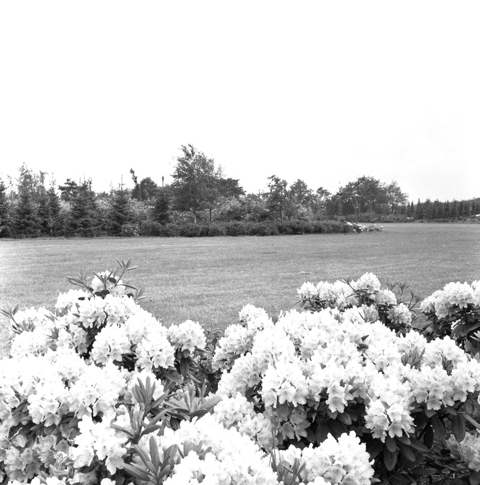 Recreatieterreinen, vliegvelden e.d., recreatiecentra, de efteling, Bestanddeelnr 163-0773