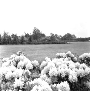 Recreatieterreinen, vliegvelden e.d., recreatiecentra, de efteling, Bestanddeelnr 163-0773