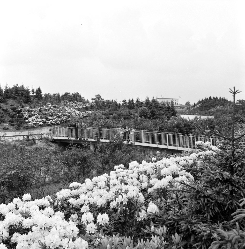 Recreatieterreinen, vliegvelden e.d., recreatiecentra, de efteling, Bestanddeelnr 163-0770