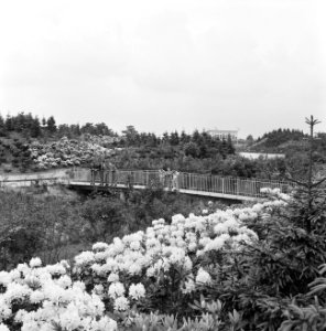 Recreatieterreinen, vliegvelden e.d., recreatiecentra, de efteling, Bestanddeelnr 163-0770