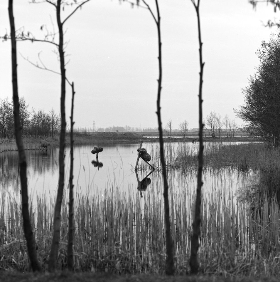 Recreatiecomplexen, plassen, wielen de kleine, ster groene, Bestanddeelnr 167-0459