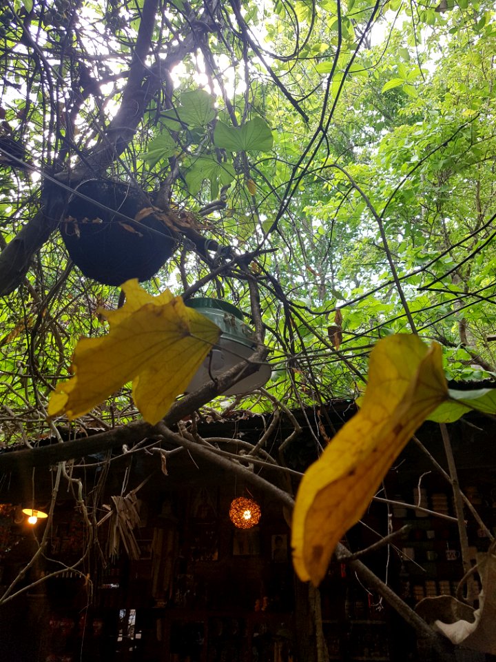 Ratchaburi candle house - 2017-04-16 (032)