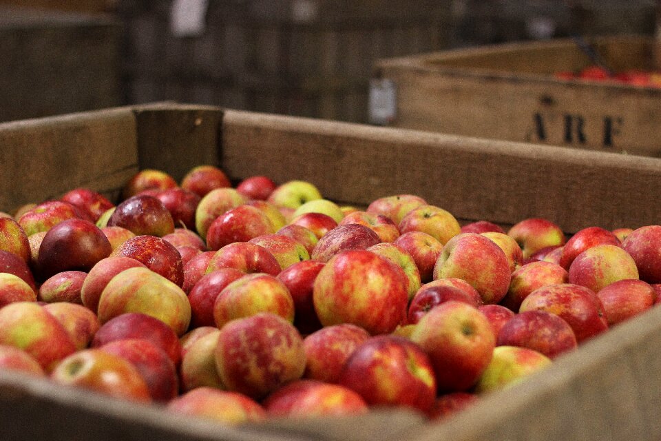 Healthy freshness apple