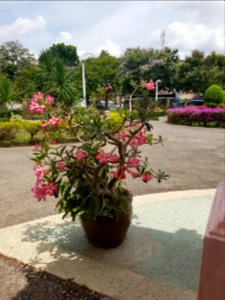 Ratchaburi Musuem - 2017-04-16 (006)