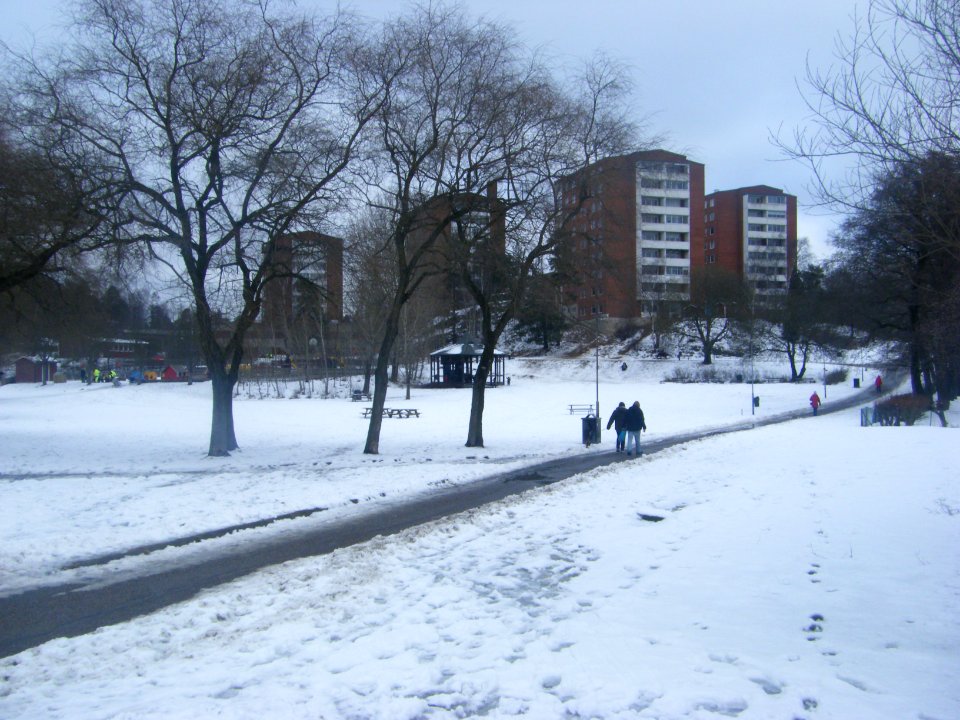 Rådsparken februari 2009