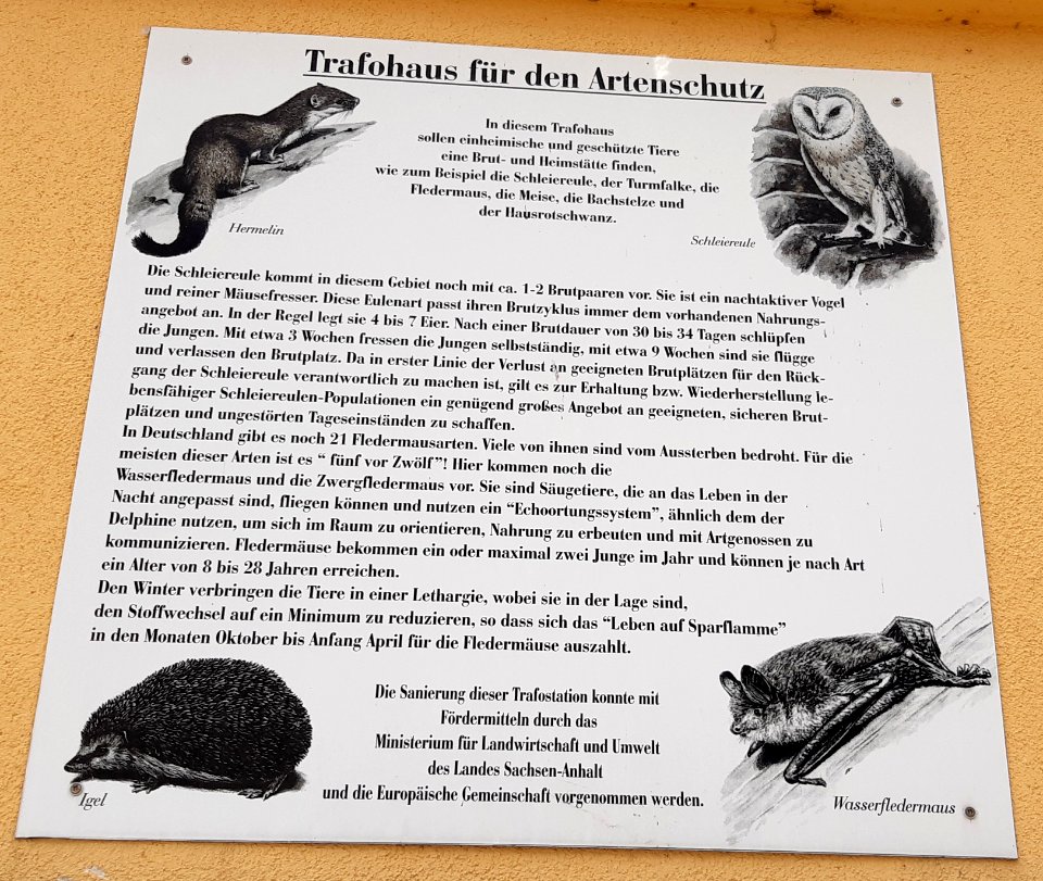 Rockendorf Trafohaus Artenschutz