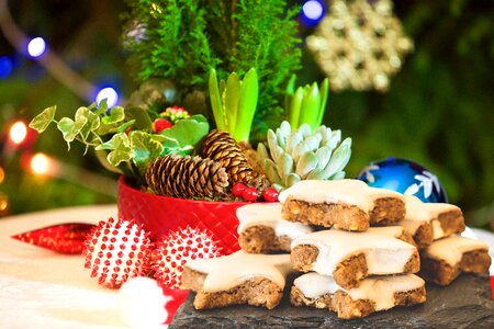 Food decoration plants of christmas