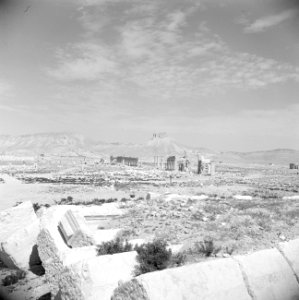Romeinse overblijselen te Palmyra met op de achtergrond het Arabisch fort, Bestanddeelnr 255-6112