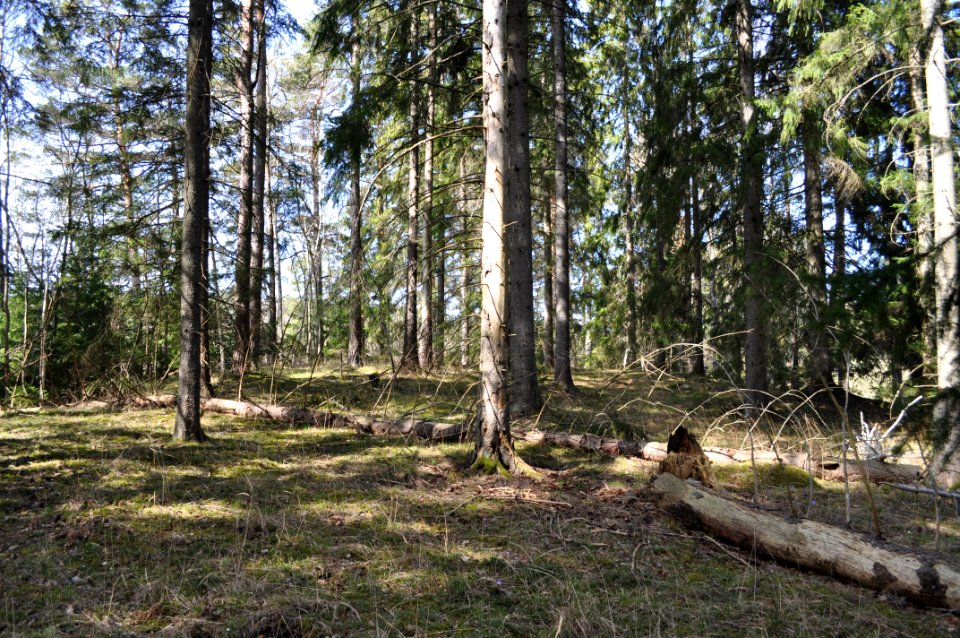 Rockelstaåsen 3