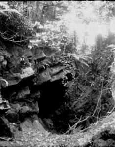 Rocks in woodland (1293612)