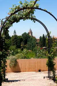 Rose arch Generalife gardens, Granada, Spain photo