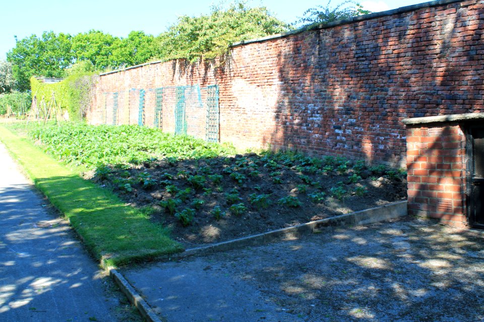 Rose Garden Wall at Temple Newsam