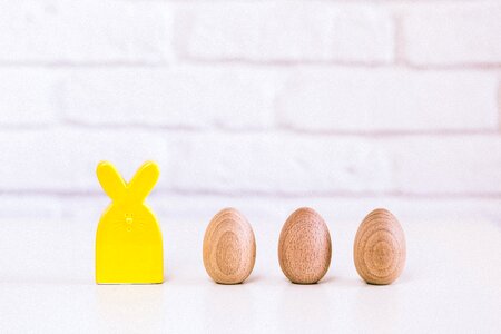 Bunny toy eggs