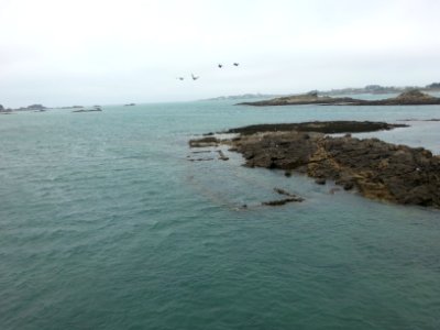 Roscoff Vent 32
