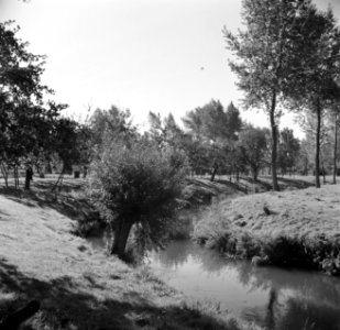 Rivier de Geul bij Schin op Geul, Bestanddeelnr 252-0198