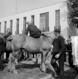 Ringsteken Middelburg, Bestanddeelnr 903-5693
