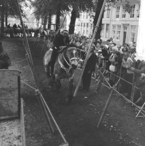 Ringrijden in Middelburg Boer op paard kwam aanrijden, Bestanddeelnr 912-8662