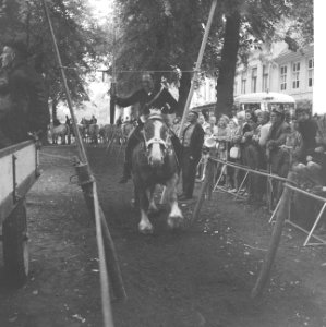 Ringrijden in Middelburg Boer op paard kwam aanrijden, Bestanddeelnr 912-8660