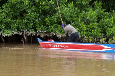 Rio limon venezuela42