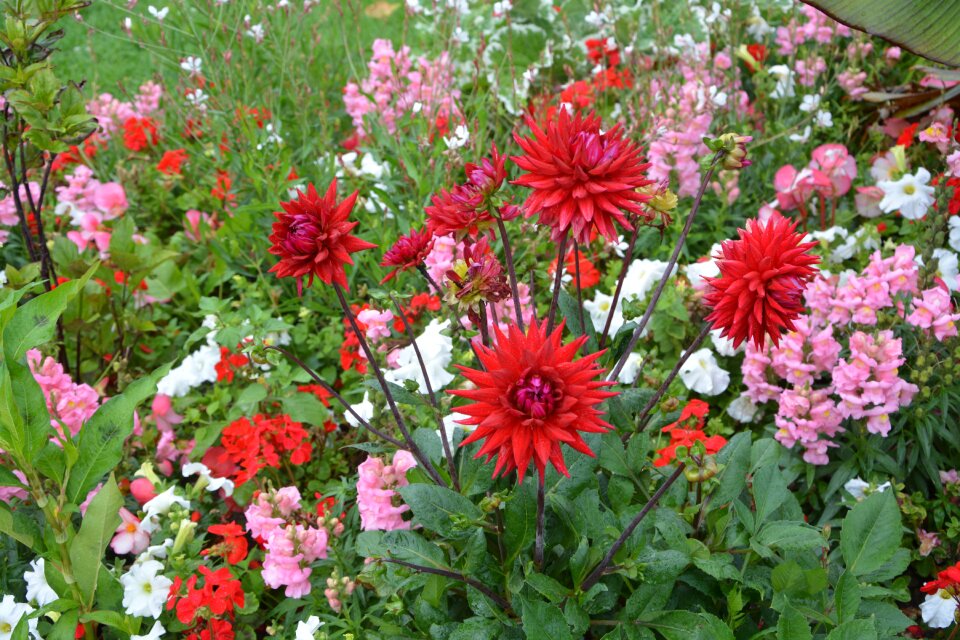 Color nature summer