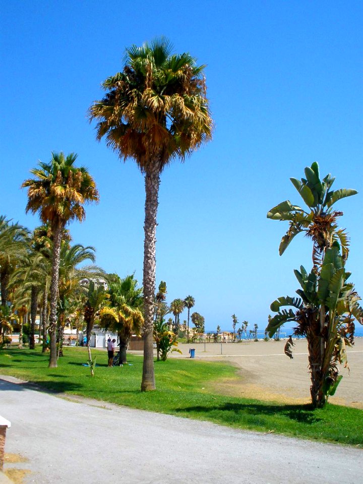 Rincón de la Victoria - La Cala del Moral, playa 06
